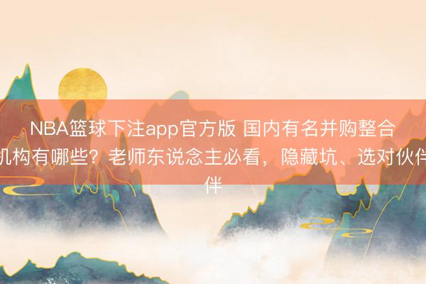NBA篮球下注app官方版 国内有名并购整合机构有哪些？老师东说念主必看，隐藏坑、选对伙伴